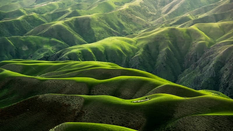 Why Biblical Preparedness Is Not Fear ... It's Stewardship